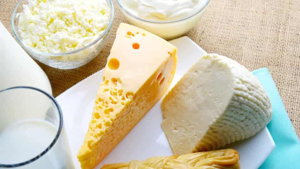 מעדניית גבינות